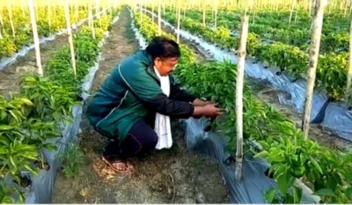 कंप्यूटर इंजीनियर खेती में आजमा रहा हाथ